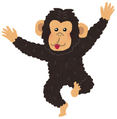 animal_chimpanzee