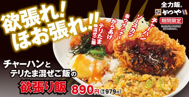 【悲報】かつやの次の期間限定メニュー、完全に迷走ｗｗｗｗｗｗｗｗｗｗｗ