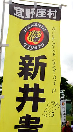 新井のぼり