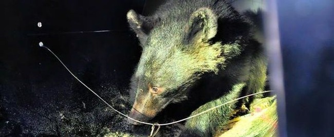 add813ad9000a1976d65b843b08938c84313b9795945861224c48bdba5f21bda