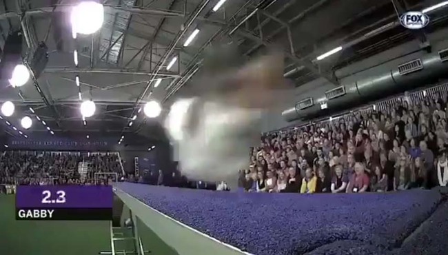 87646678