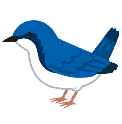 bird_koruri