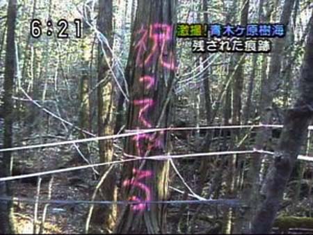 祝い 呪い