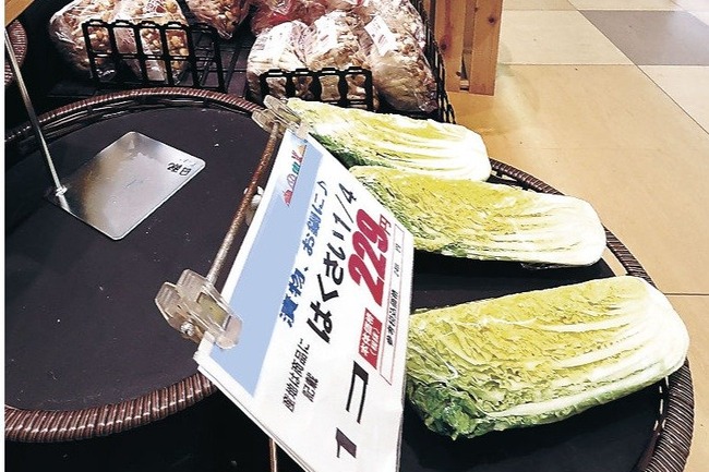  【悲報】白菜、1玉約1000円ｗｗｗｗｗｗｗｗｗｗｗｗ