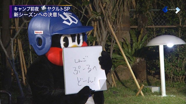 つば九郎しんごぷーるへ