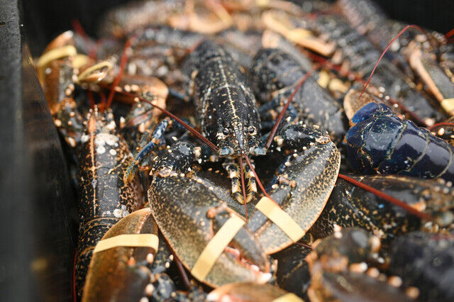 20251223-00000046-jij-000-29-view