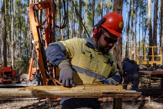 20260113-22396622-digbloom-000-1-view