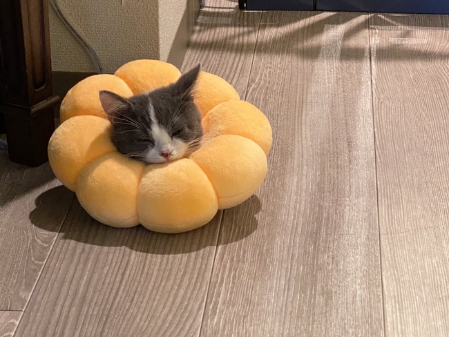 no title