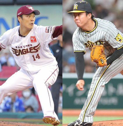 bandicam 2023-06-06 18-36-01-244