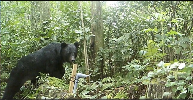 L6DP37E3TZMGFJ2G4KFI5XHAMA