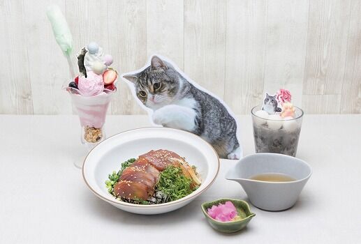 もちまる