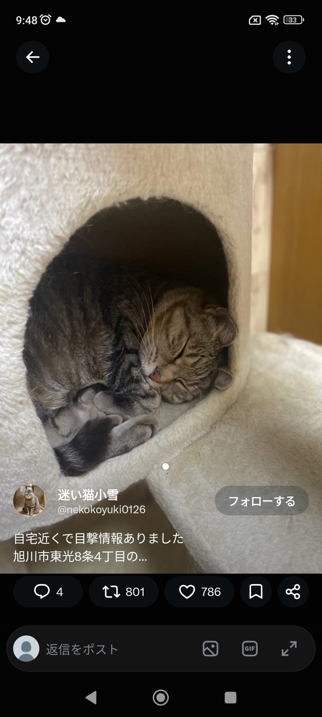 【画像】迷い猫、見つけたら30万円の謝礼金