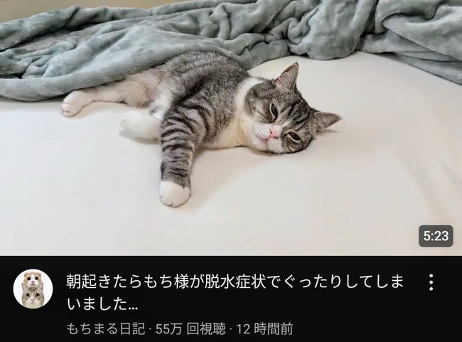 no title