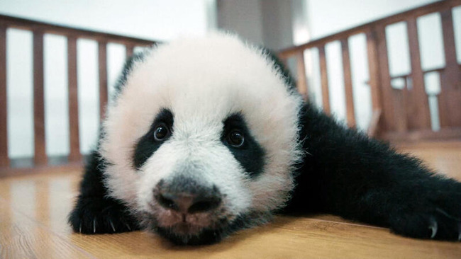 20251222-00000002-cine-000-1-view