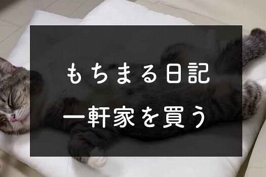 もちまる