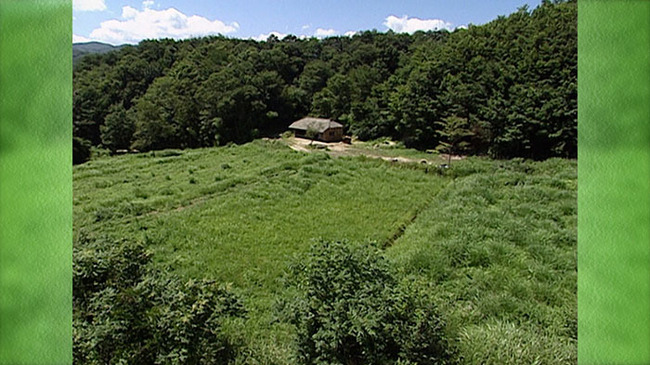 iwpypntycbbgev1q4zdxigtf9b107d