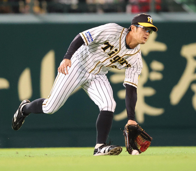 202110180001213-w1300_1