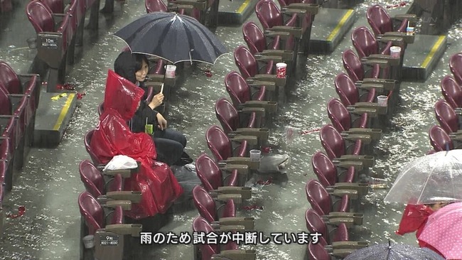 雨 観客 球場 ファン