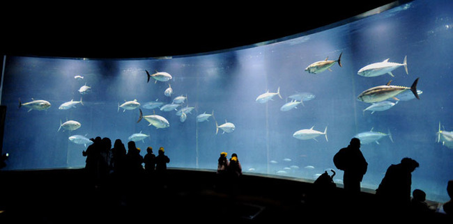 葛西臨海水族園