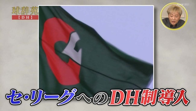 指名打者制 セ・リーグ (2)