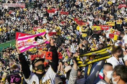 阪神ファン