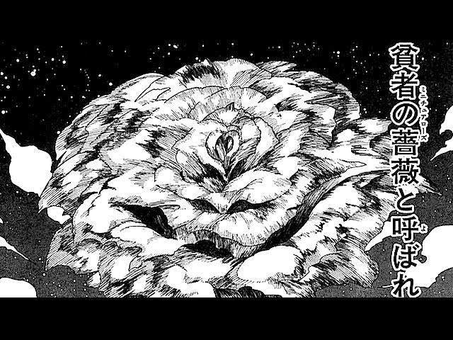 HUNTER×HUNTER読んだけど、王はノヴで侵入して薔薇投げれば倒せたんじゃないの？