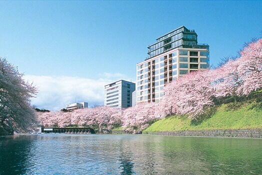 千鳥ヶ淵