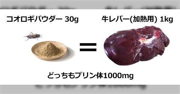 コオロギ