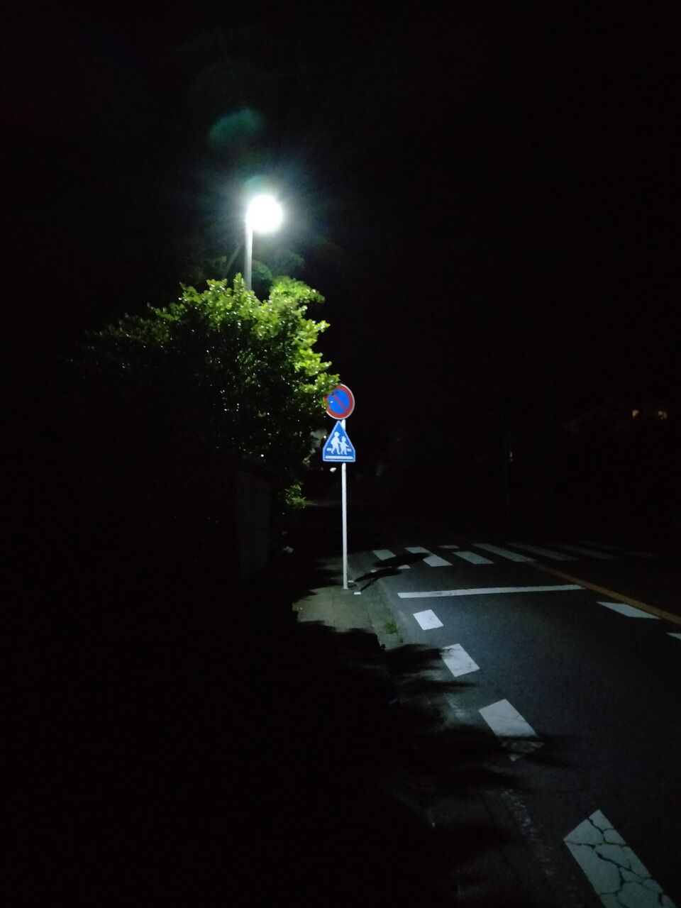 深夜ウォーキング楽しすぎワロタｗｗｗｗｗｗｗｗ なんｊリーグ