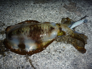P1000722
