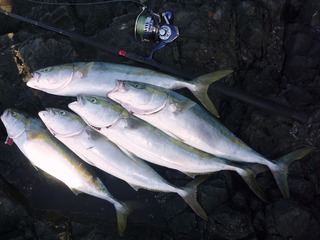 P1030417 - コピー (2)