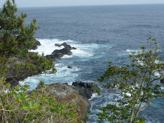 P1000319