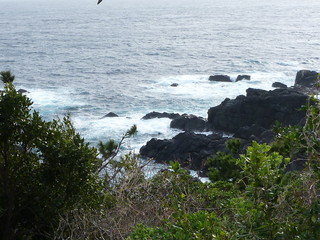 P1000314
