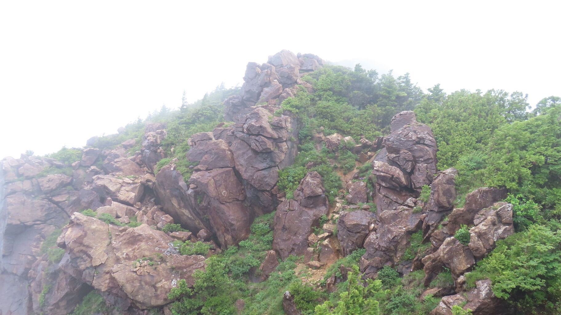 梅錦 純米吟醸 美海 梅錦山川（愛媛県四国中央市） : ちょい旅して