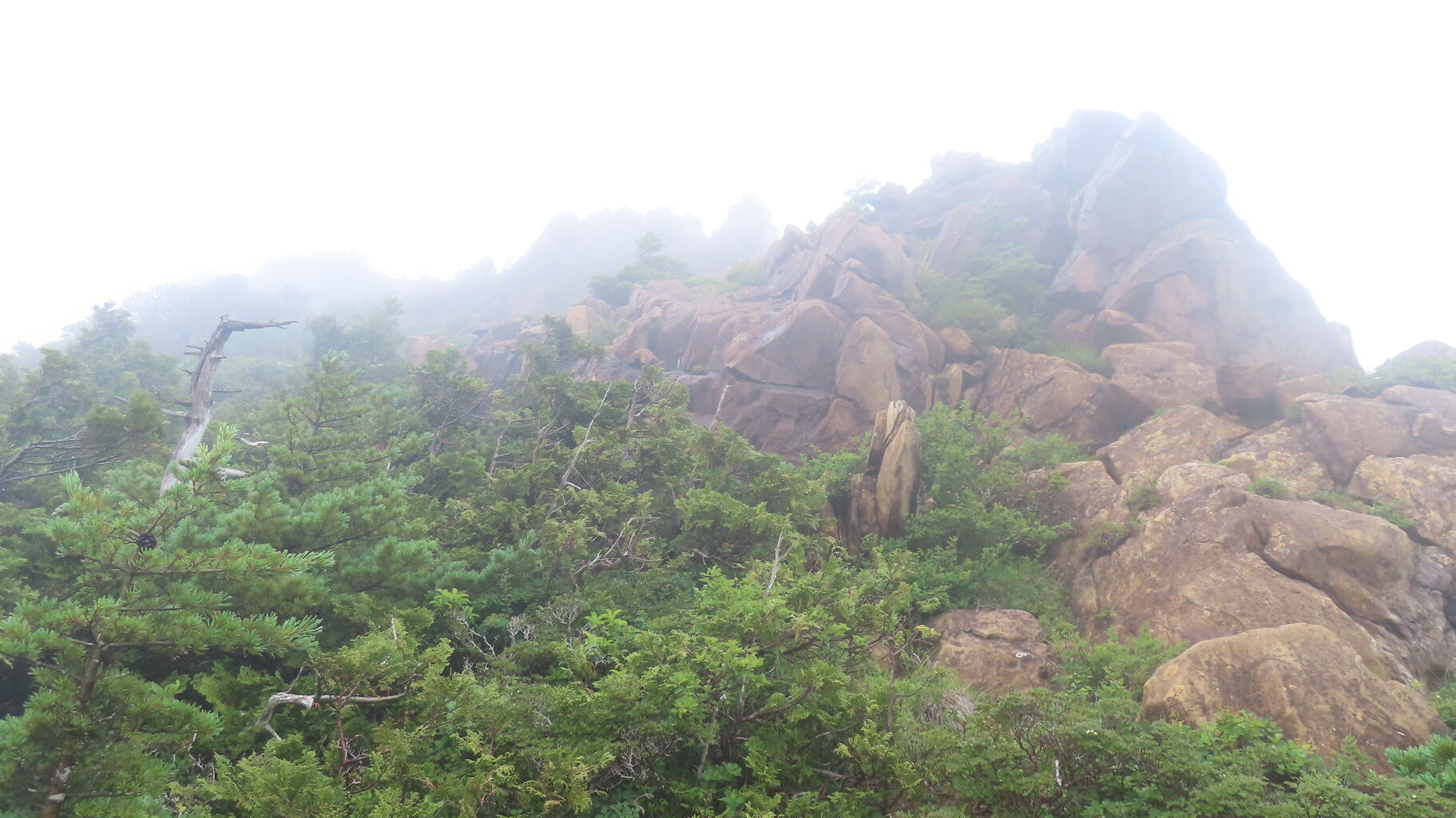 梅錦 純米吟醸 美海 梅錦山川（愛媛県四国中央市） : ちょい旅して