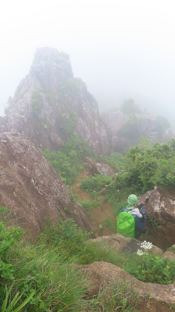 梅錦 純米吟醸 美海 梅錦山川（愛媛県四国中央市） : ちょい旅して