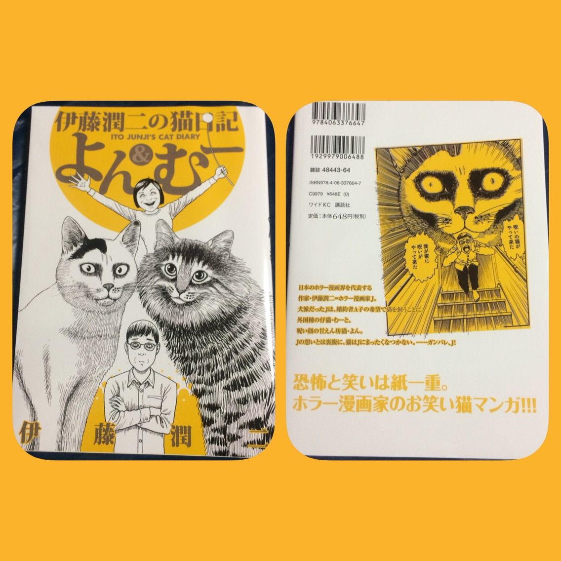 オススメ 猫とrock N Roll オススメ 猫とrock N Roll