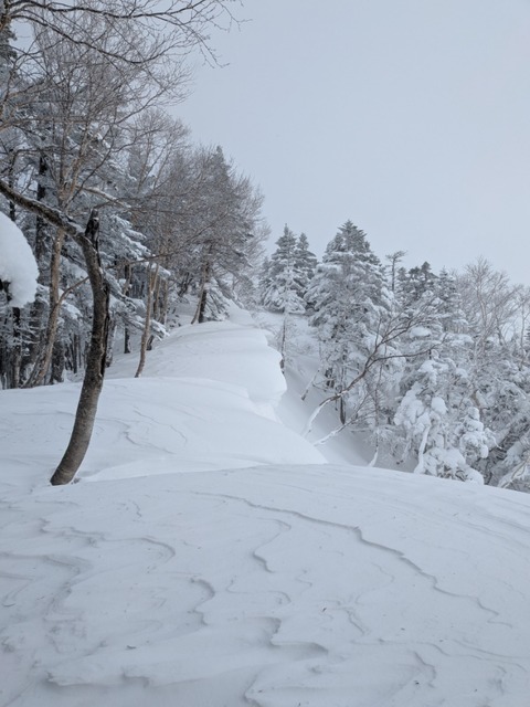 PXL_20260104_012907717