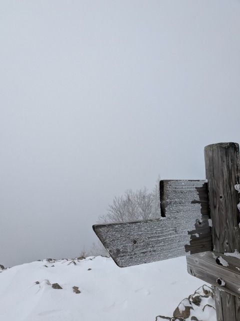 PXL_20260104_005748698