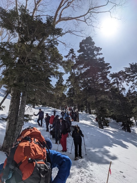 PXL_20210327_014715245