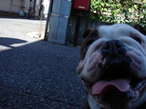 DSC00036
