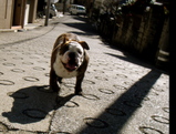 DSC09917