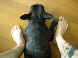 ガブさん1