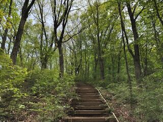 IMG_0996