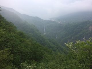 IMG_2525