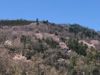 イメージ_1