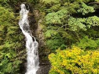 IMG_1904