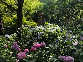 イメージ_2 (1)