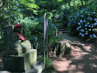 イメージ (2)
