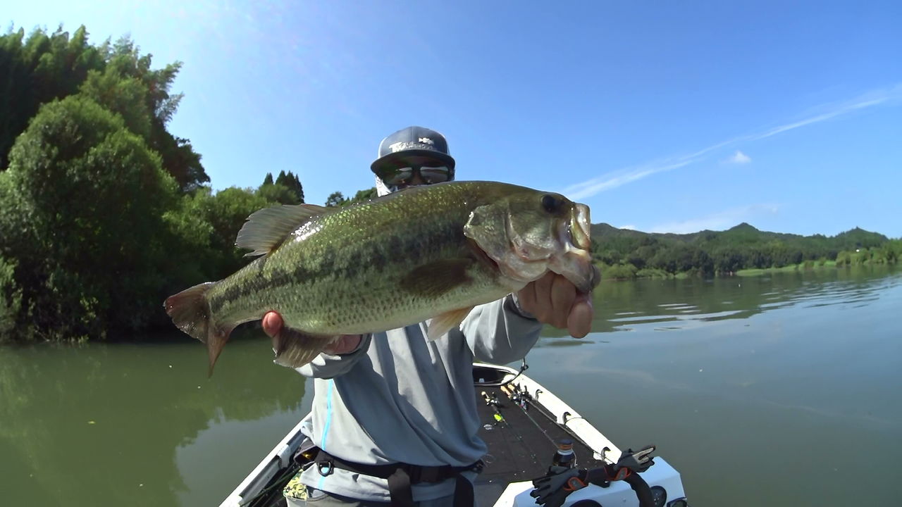 ノリーズ フリップギル再入荷 Rocket Blog